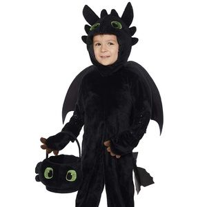 Toothless Boys Costume